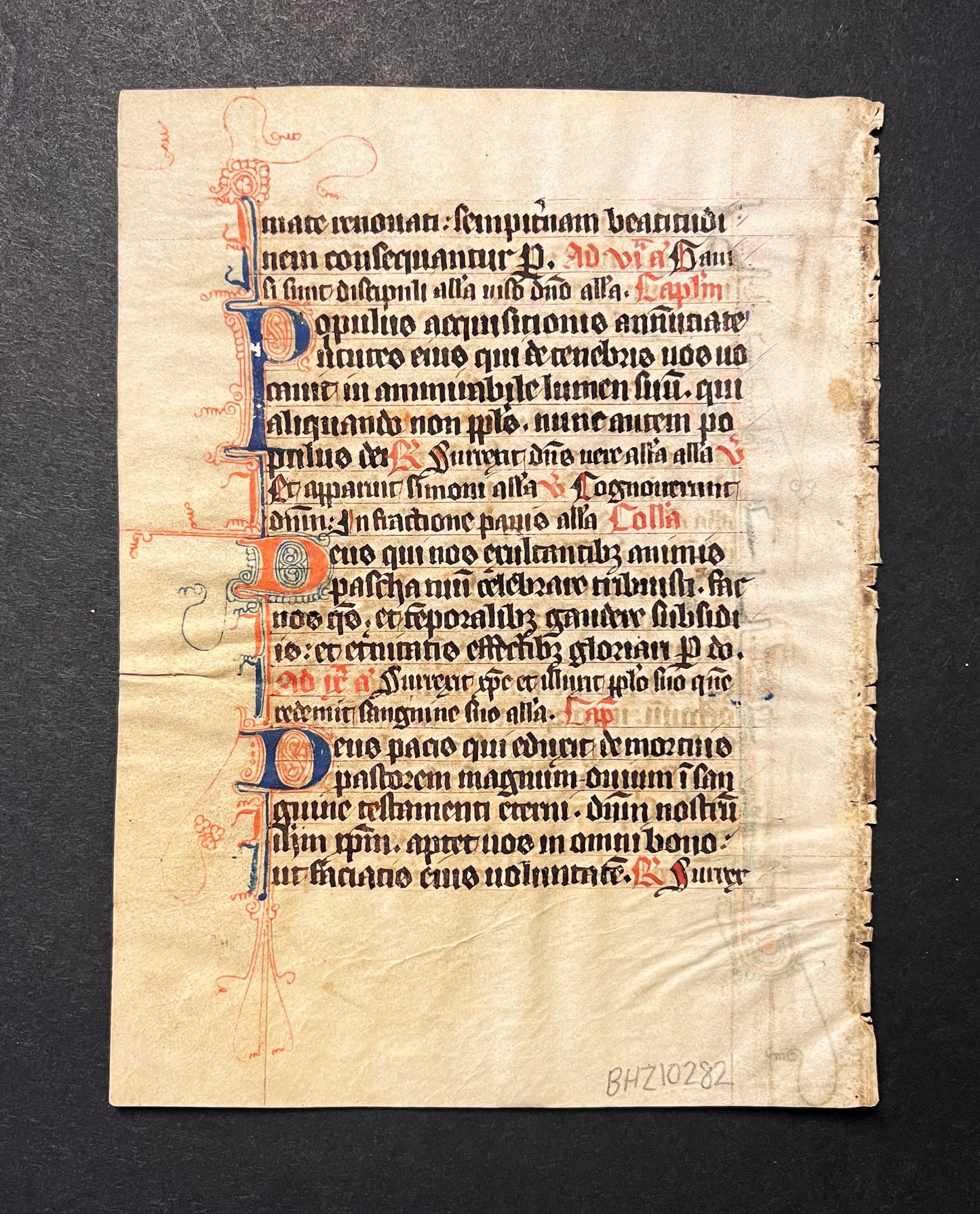 Early French Breviary c.1300 14th century leaf with decorative border on vellum