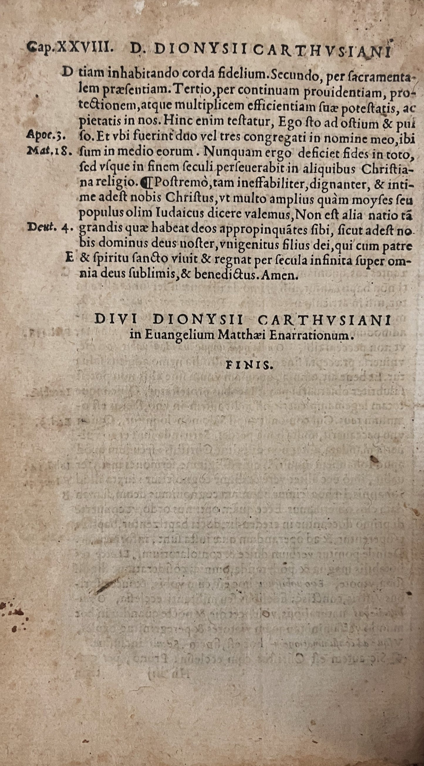 D. Dionysii Carthusiani in Evangelium Matthaei 1542
