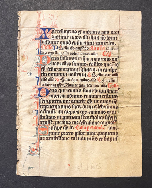 Early French Breviary c.1300 14th century leaf with decorative border on vellum