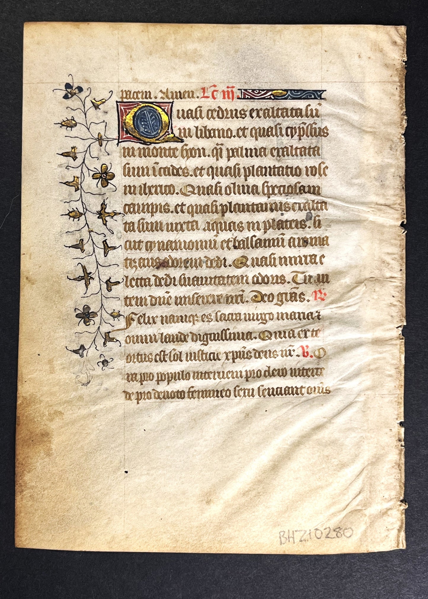 15th Century French Book of Hours Leaf with elaborate border design