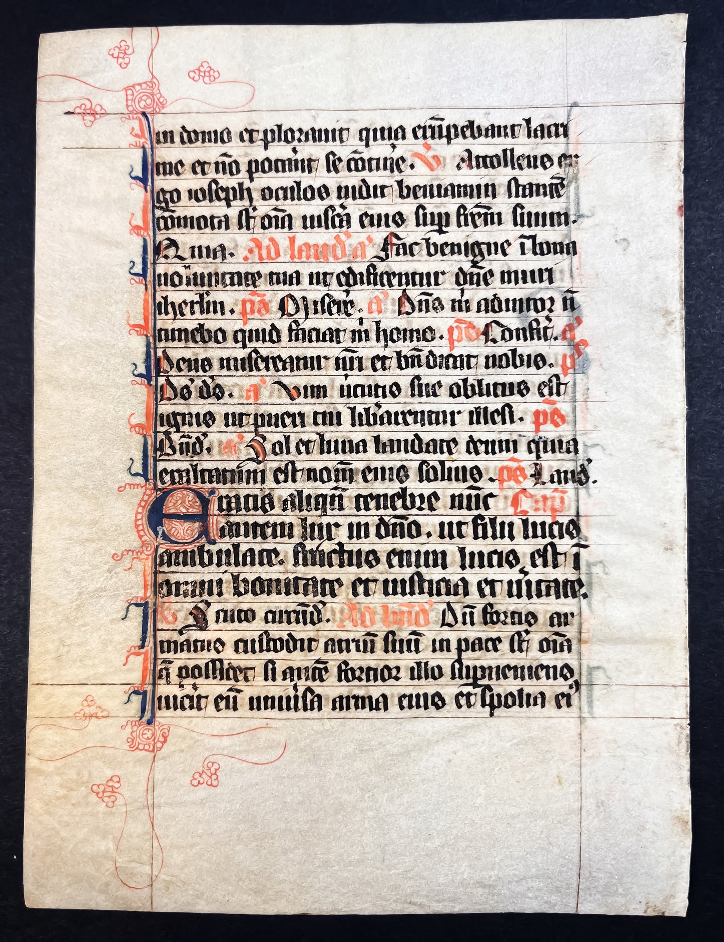 Early French Breviary c.1300 14th century leaf with decorative border on vellum