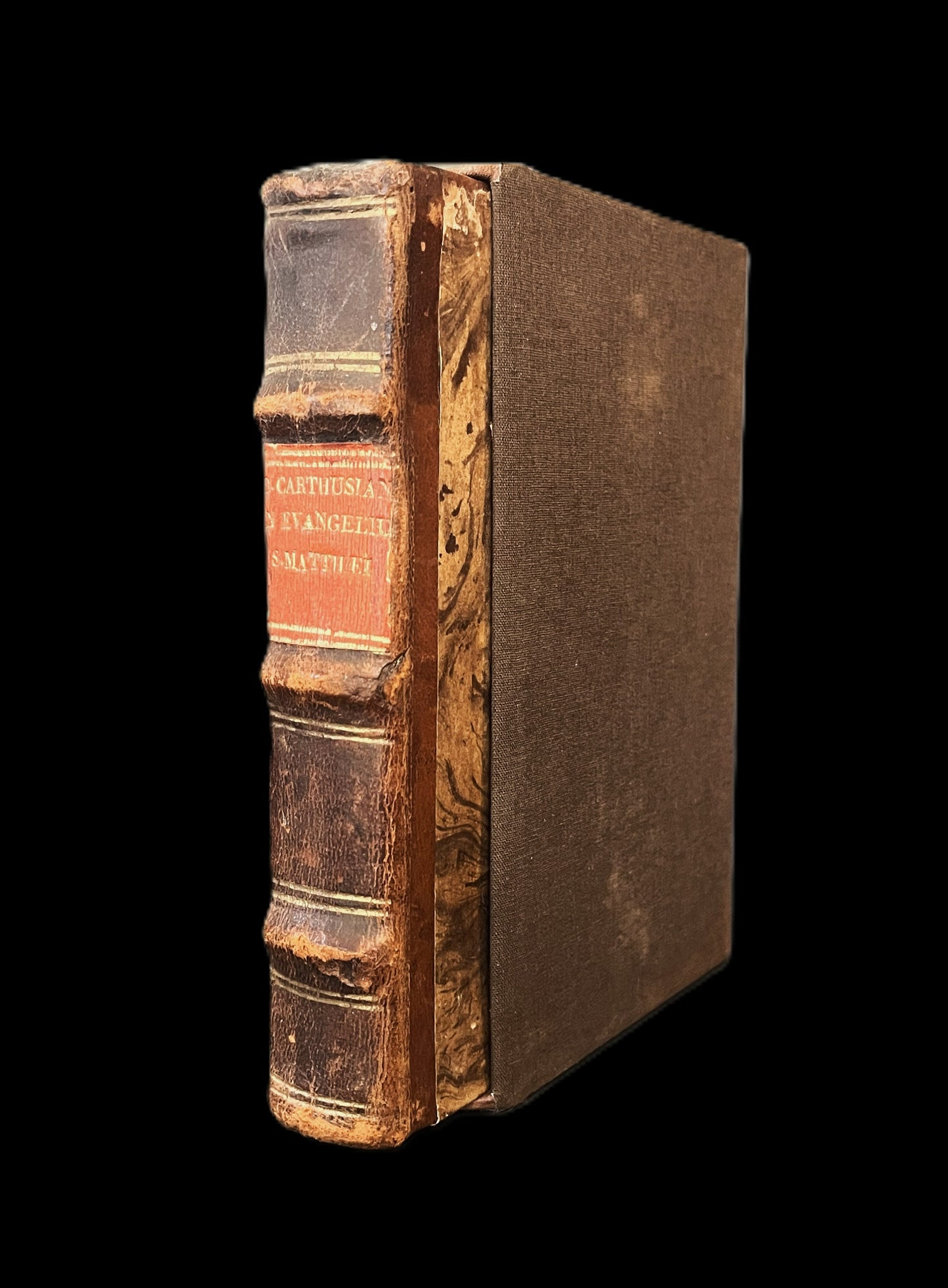 D. Dionysii Carthusiani in Evangelium Matthaei 1542