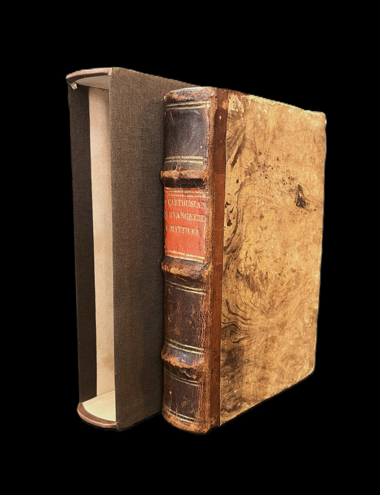 D. Dionysii Carthusiani in Evangelium Matthaei 1542