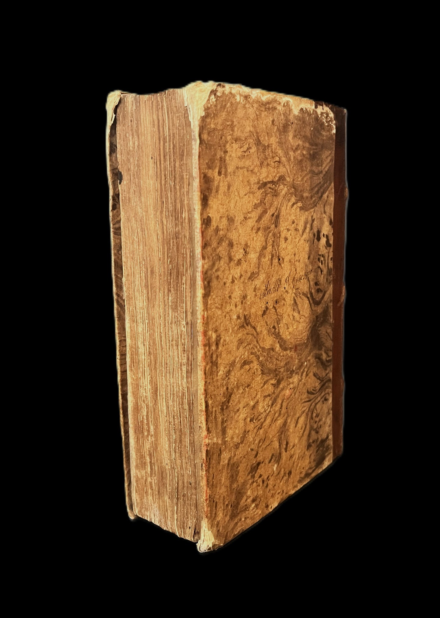 D. Dionysii Carthusiani in Evangelium Matthaei 1542