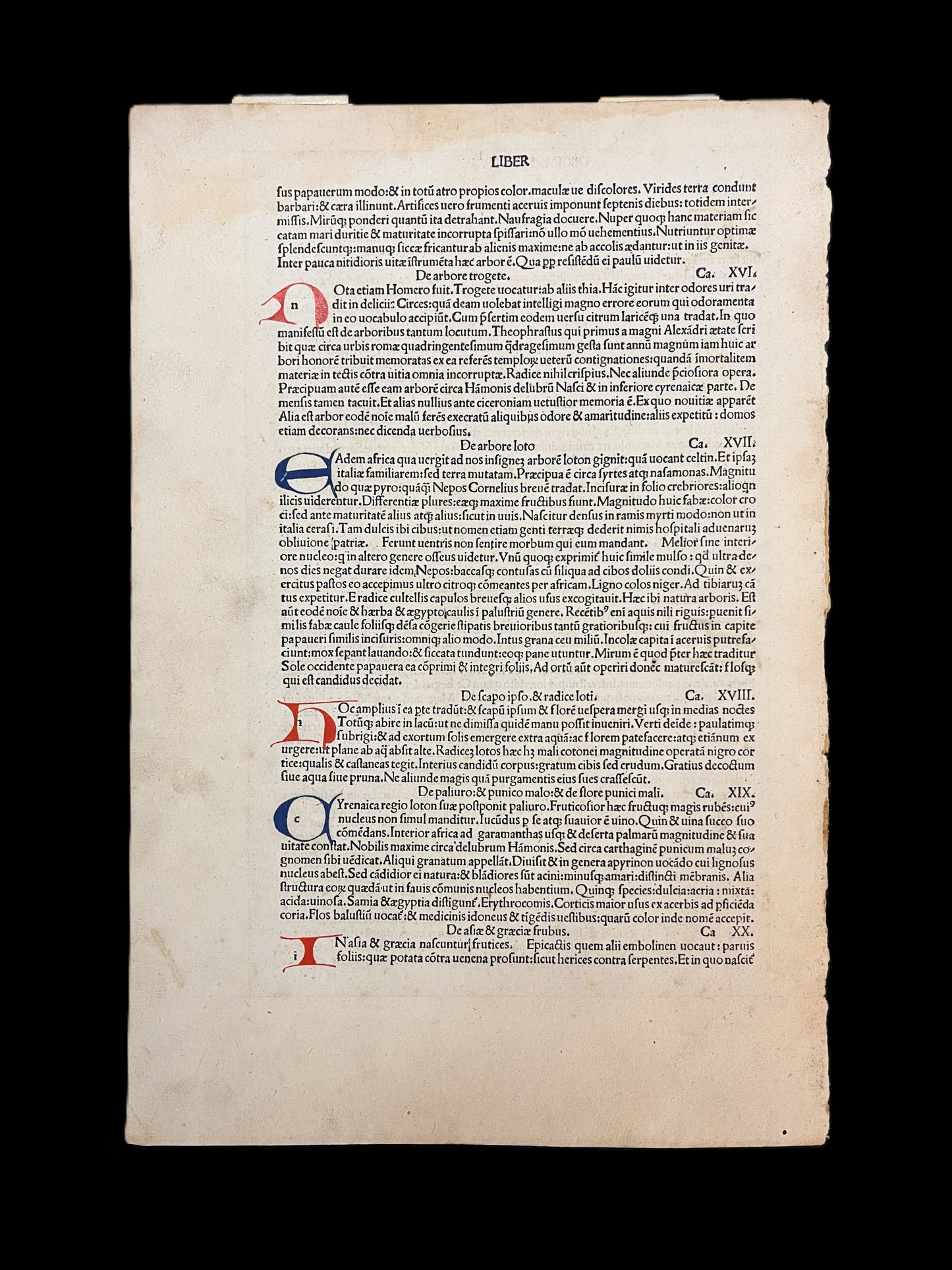 [Incunabula Leaf] Naturalis Historiae, 1487