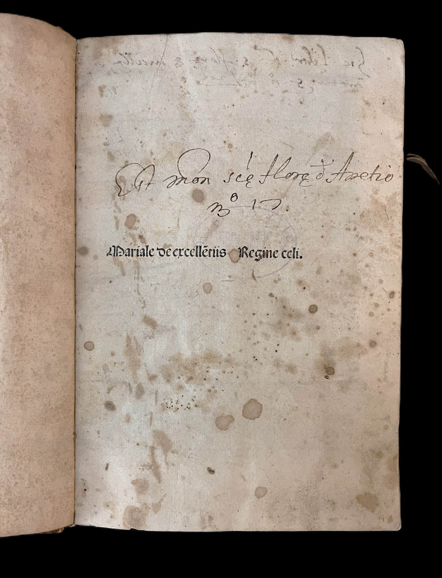 [Incunabula] Mariale de excelle[n]tiis regine celi.. 1493