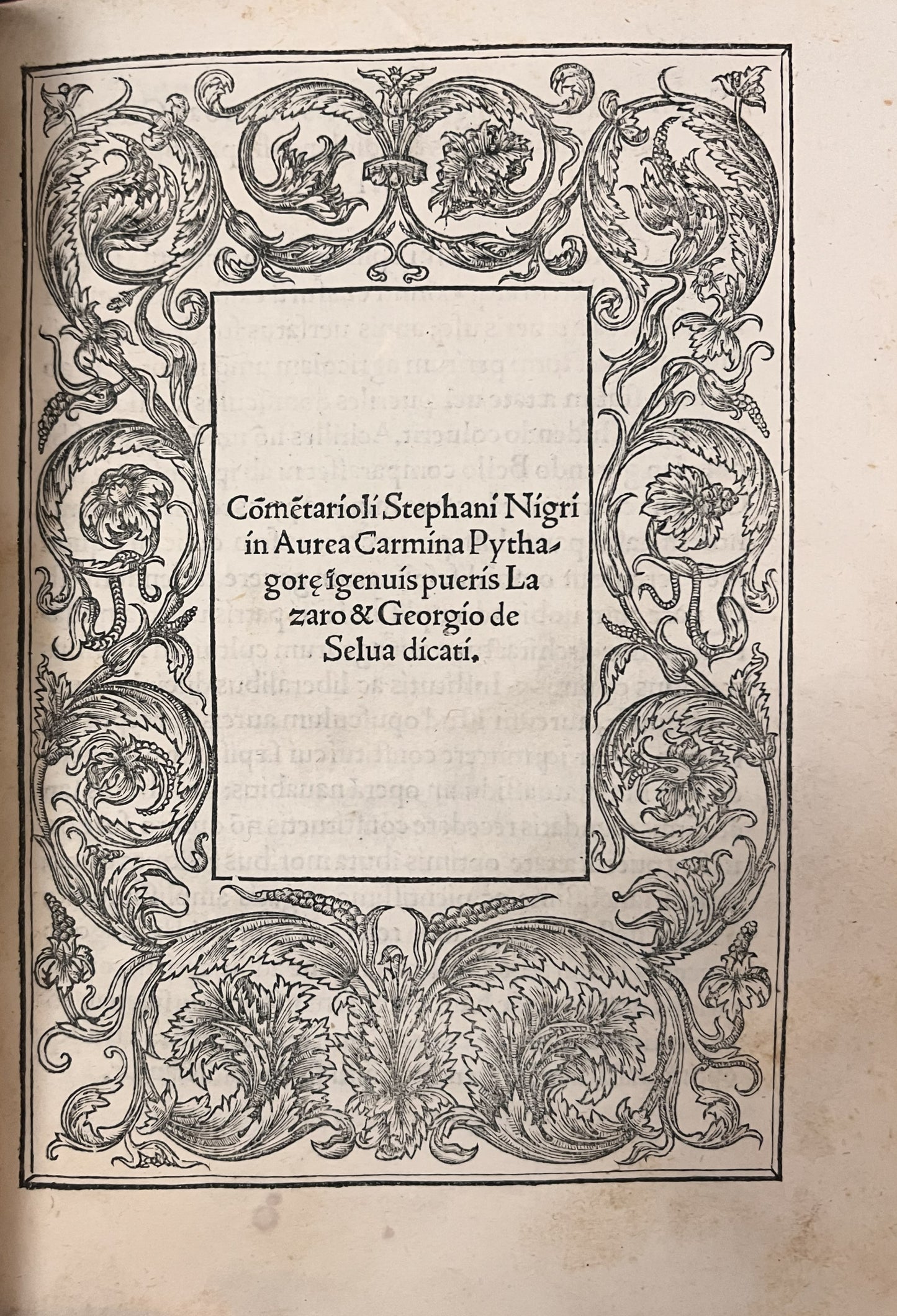 Stephani Nigri elegatissime...1521