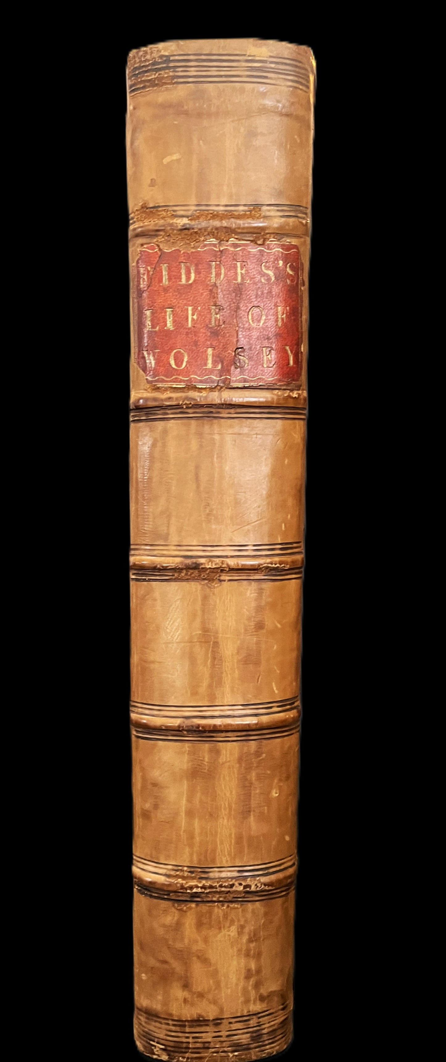 The Life of Cardinal Wolsey 1724