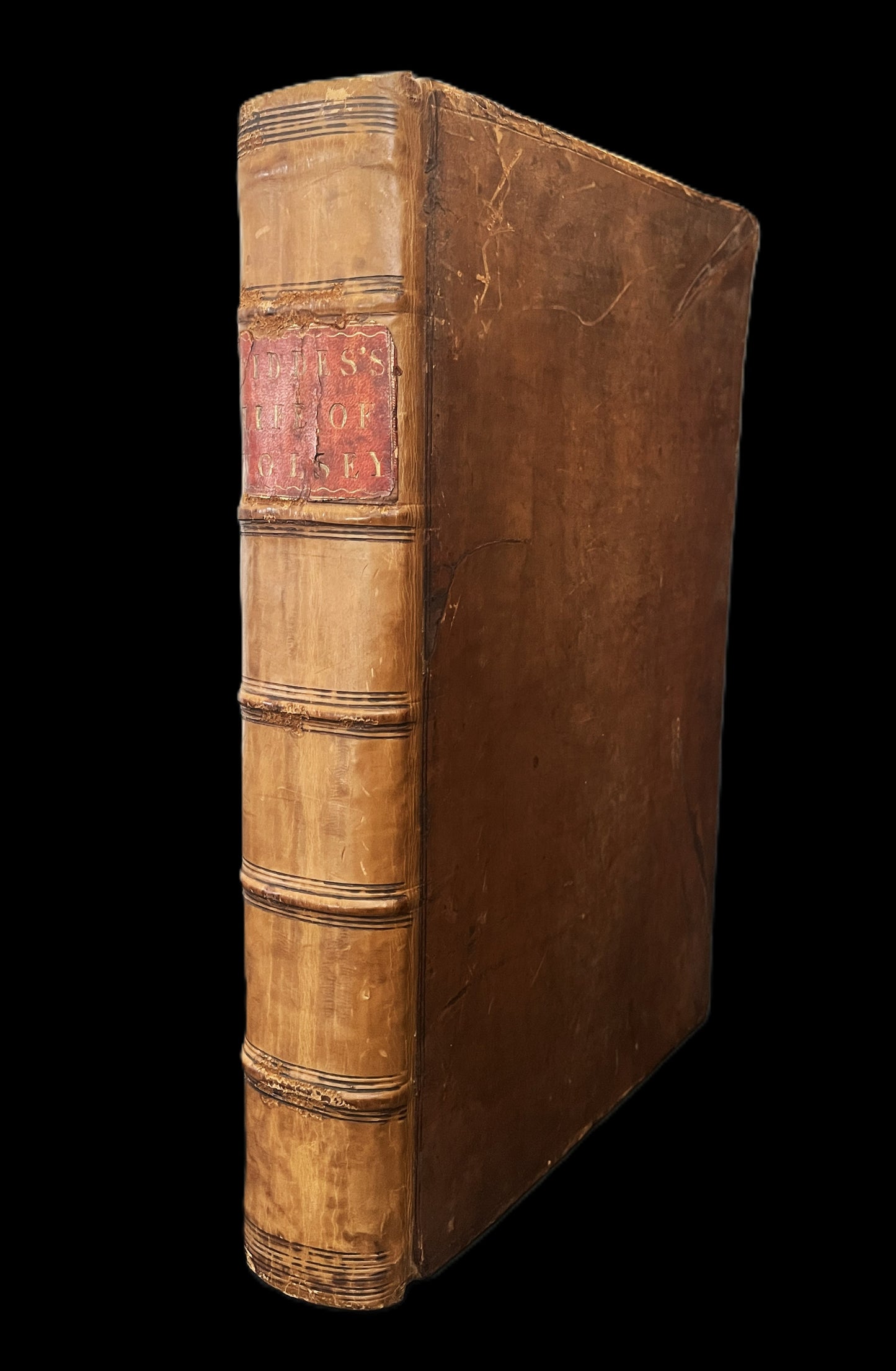 The Life of Cardinal Wolsey 1724